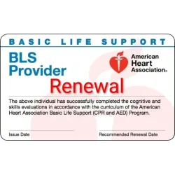 BLS Recertification Course